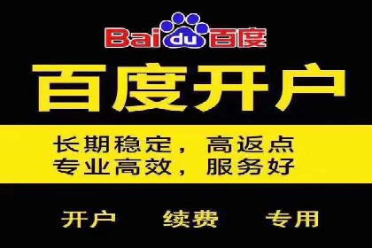 充值返点机制在社交平台的应用案例